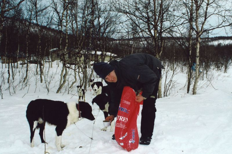 Trektocht met hondesleeën in Zweden — foto 7
